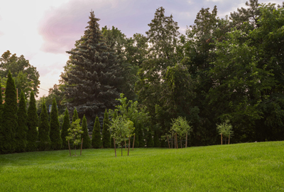 Refined image lawn and landscape, softscapes, snow & ice, lawn cutting & maintenance, residential & commercial lawn care, dunnville, ON